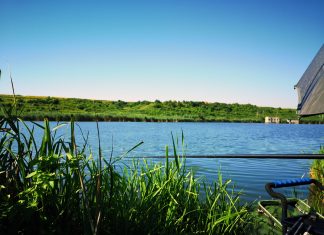 Pregatirea nadei – Pescuit Stationar