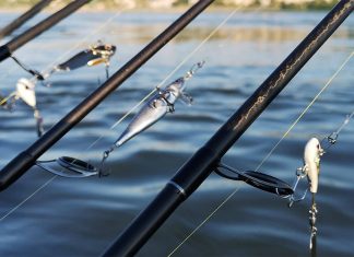 lansete si naluci avat