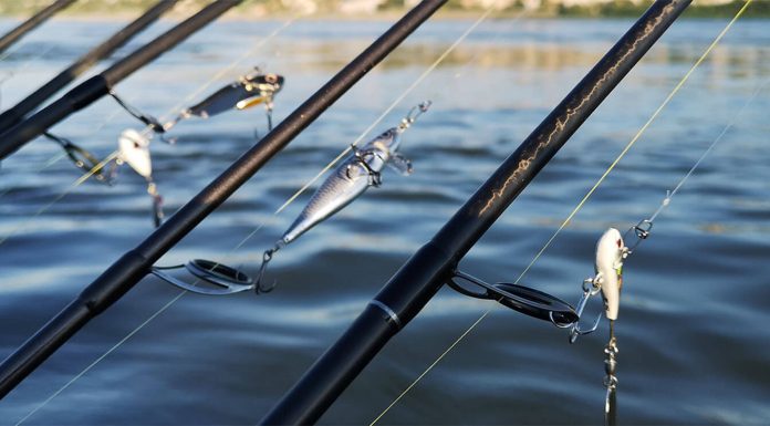 lansete si naluci avat