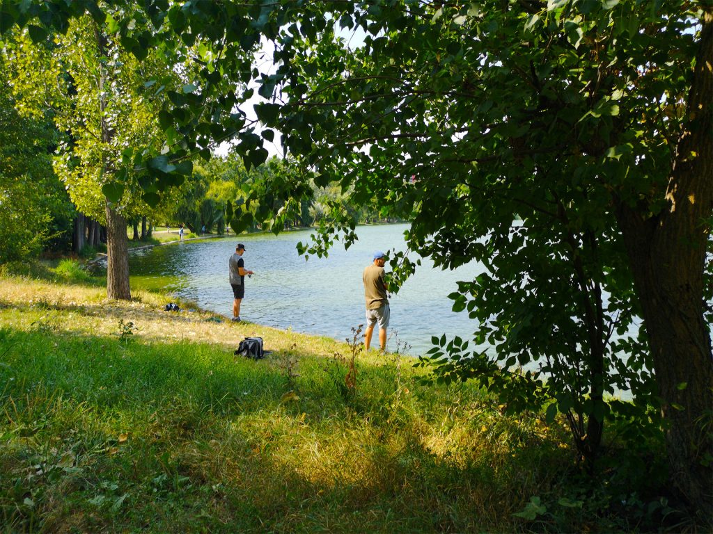 pescuit la stiuca pe lacul tineretului