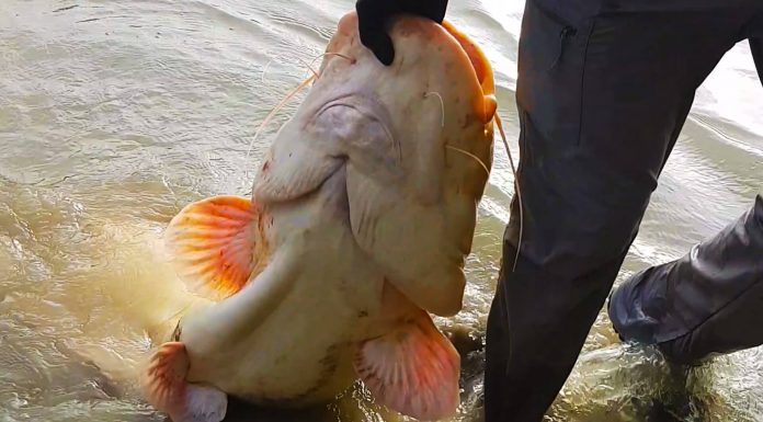 exemplar de somn la spinning