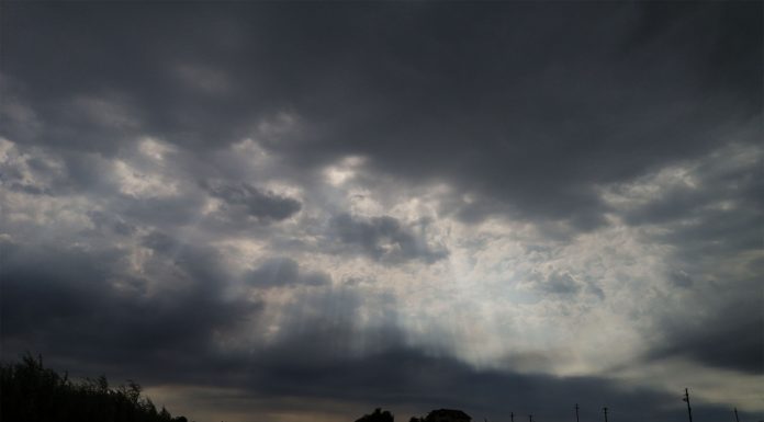 pescuitul si localizarea salaului