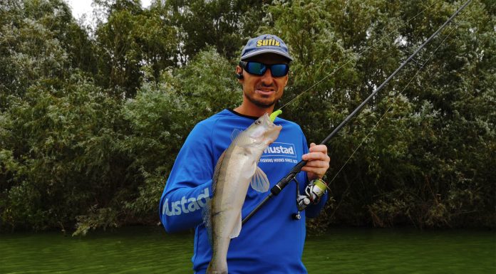 jigging pescuit la salau