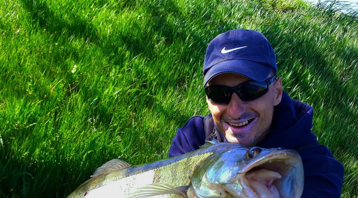 Pescuitul salaului pe ape salbatice