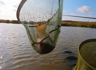 Pescuit la crap la pluta cu rubeziana pescuit la crap la pluta