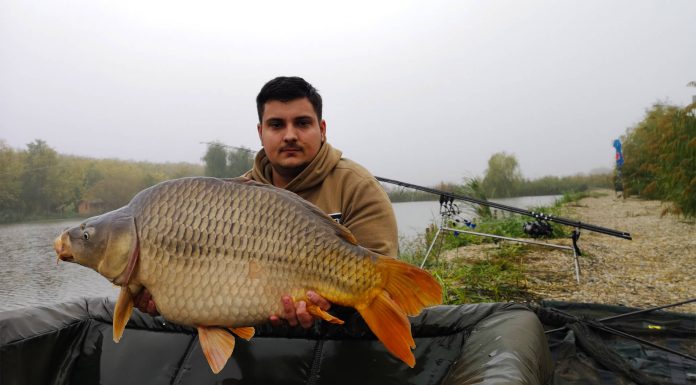 captura pescuit la crap