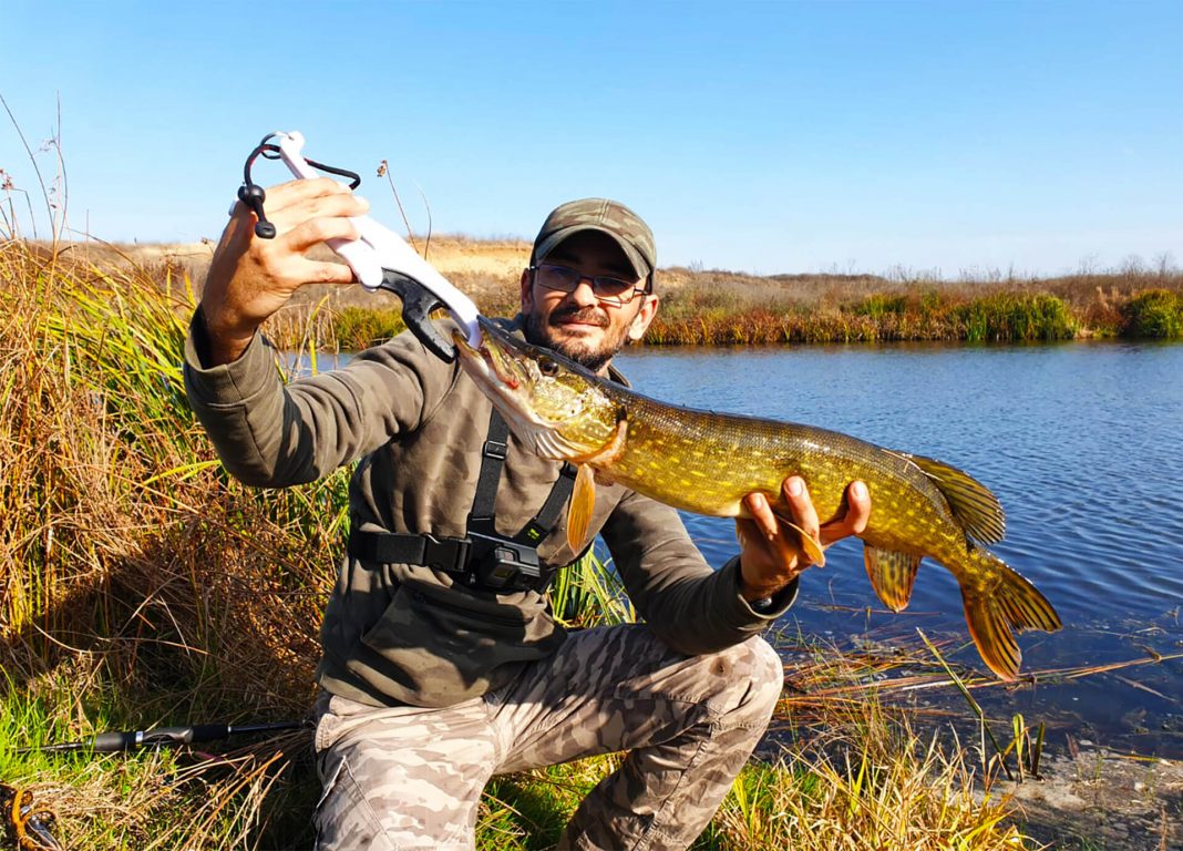 Pescuit la stiuca pe Lacul Baltatu Blog TotalFishing