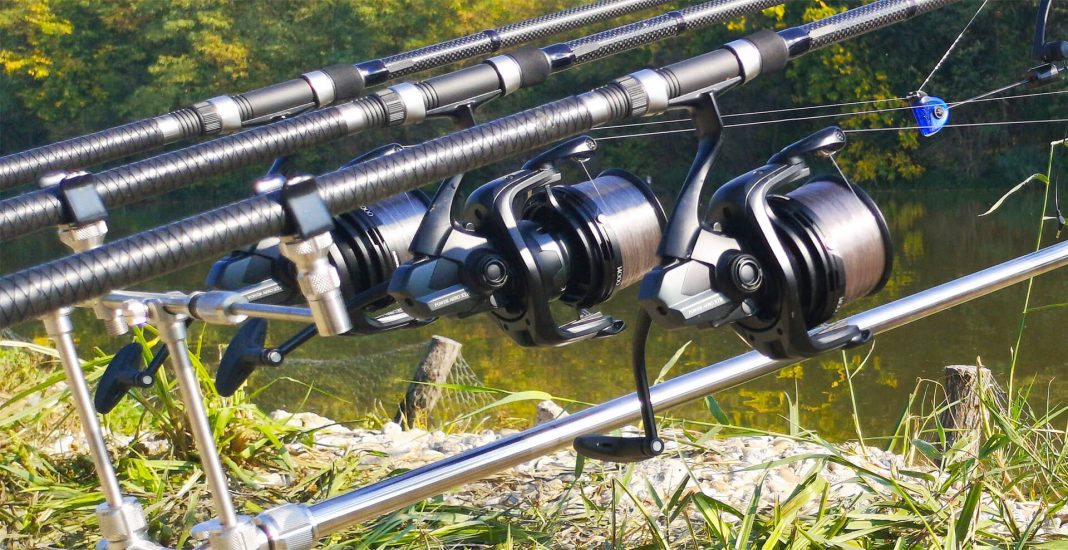 Pescuit la crap Blog TotalFishing