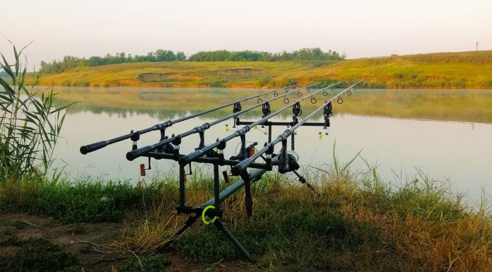 pescuit la crap pe lac cu retinere