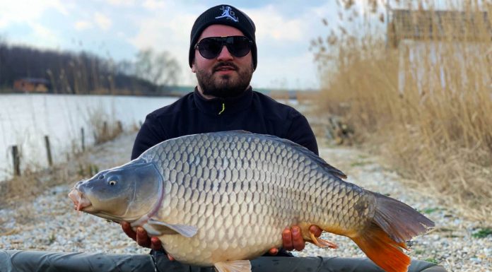 pescuit la crap pe apa rece