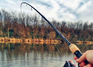 partida de pescuit la feeder pe Dyno Lake