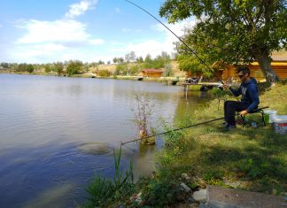 Specii de pesti in apele din Romania specii de pesti de apa dulce