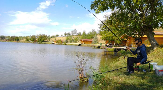 specii de pesti de apa dulce