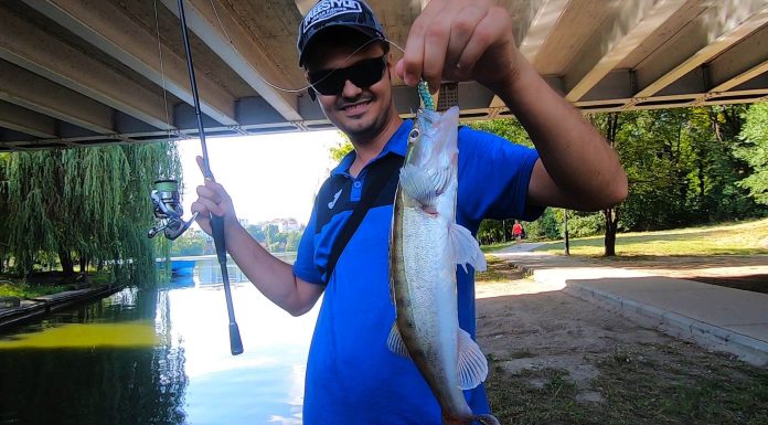 captura salau de pe mal