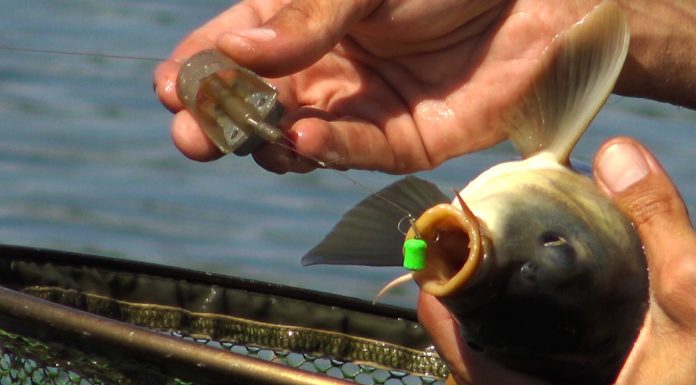 la crap la pellet feeder