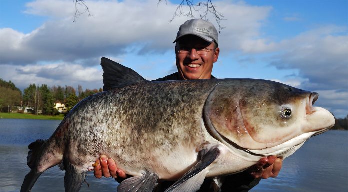 Fitofag – Poti sa pescuiesti sportiv acest peste ? Captura fitofag