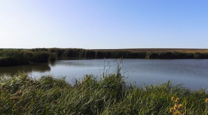 Lac nou de pescuit la method fedeer : 4 pasi importanti! lac de pescuit