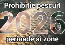 prohibitie 2026