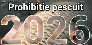 prohibitie 2026