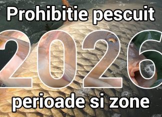 prohibitie 2026