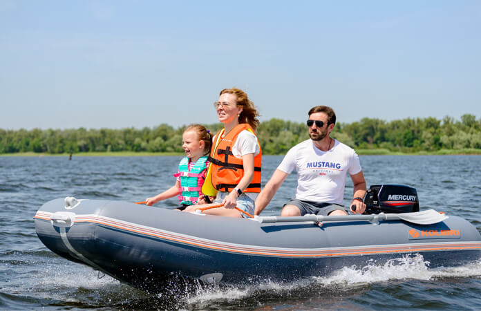 kolibri oglinda motor light